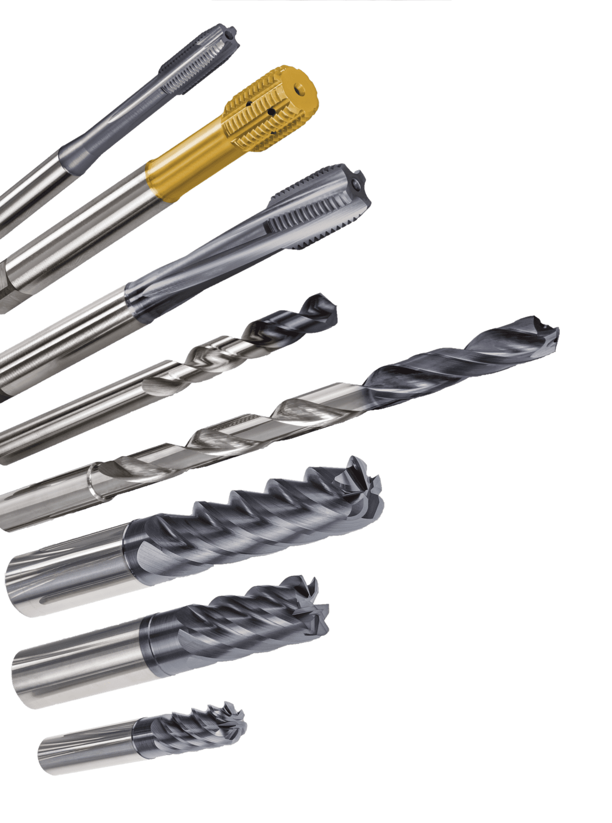 assortiment sutton